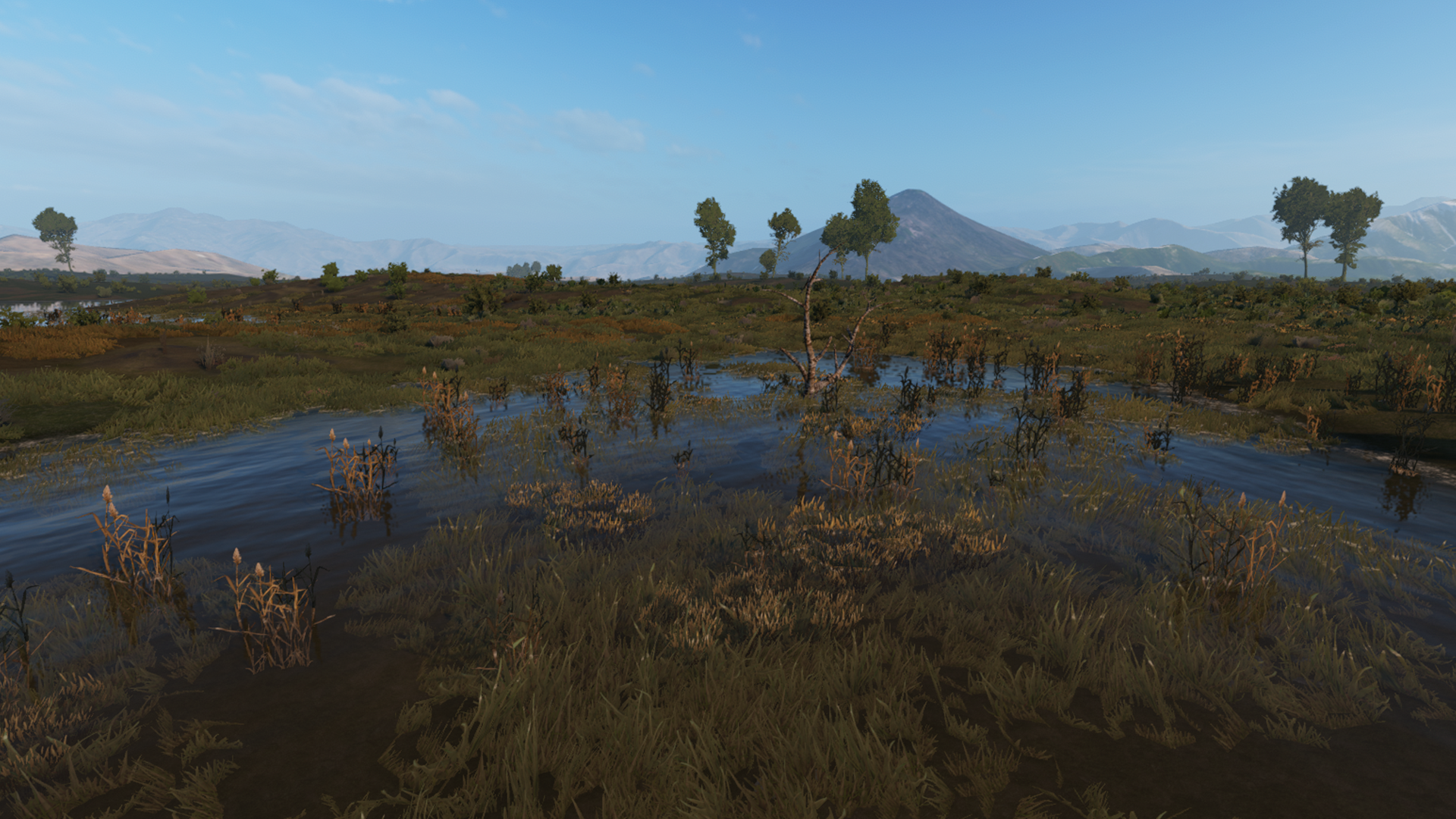 terrain1