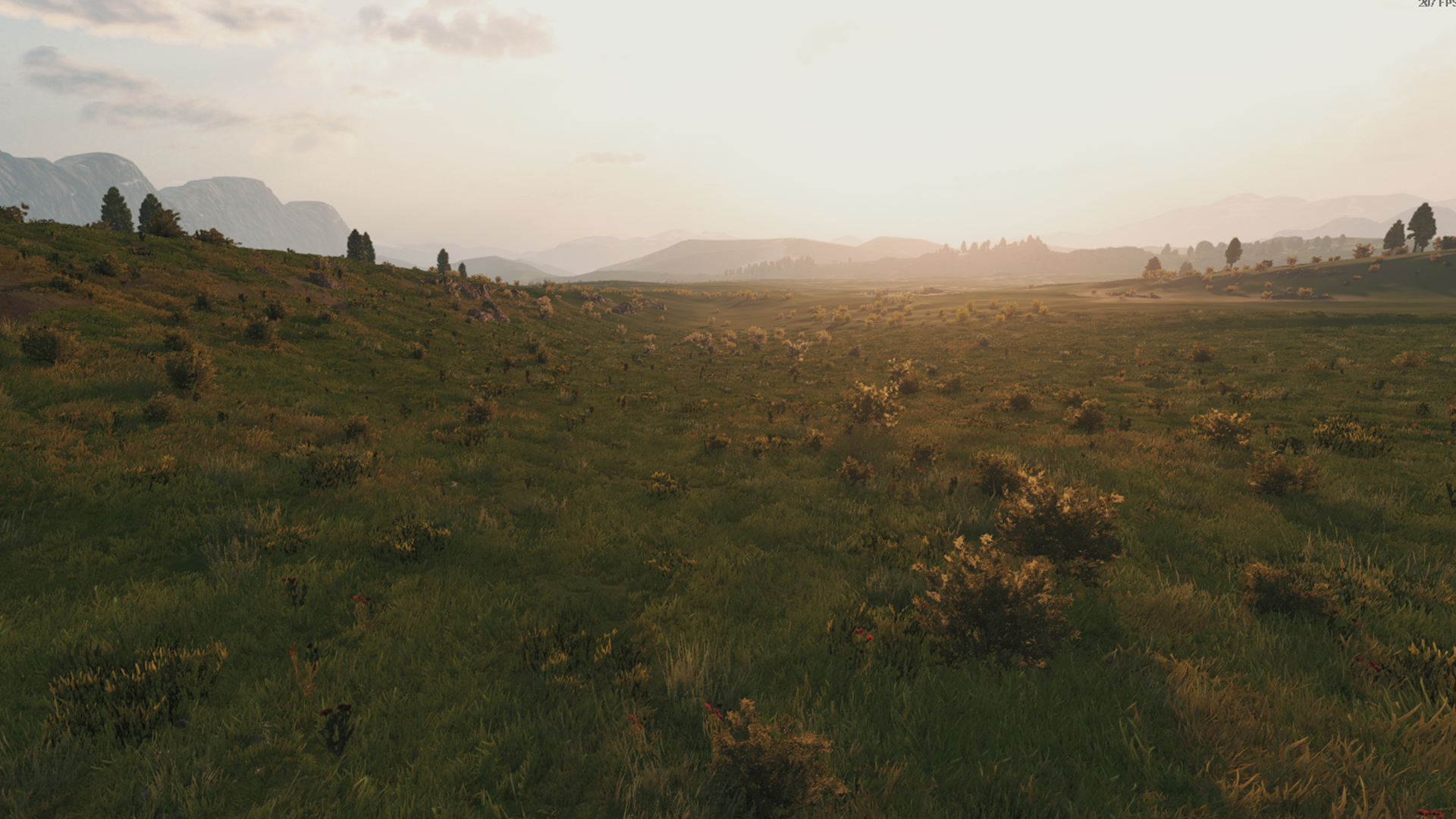 terrain2
