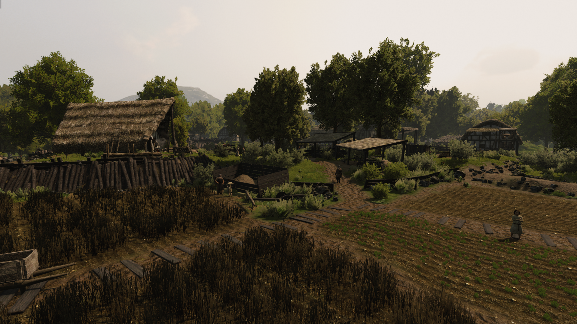 village_vlandia